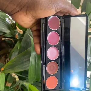 GlamGals 5Lipstick palette LP06